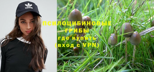 каннабис Аркадак