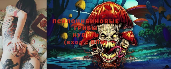 меф Арсеньев