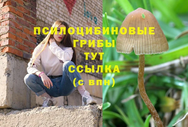 каннабис Аркадак