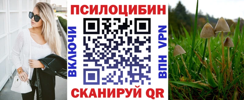 Псилоцибиновые грибы Psilocybe наркота ссылка на мегу зеркало Калтан