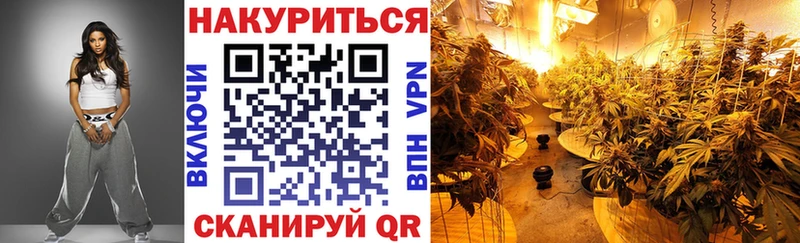 где можно купить   Калтан  Бошки Шишки ГИДРОПОН 